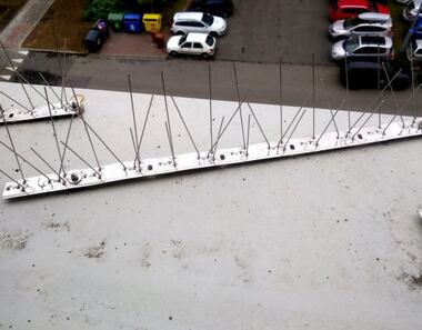 Vyrobte si: Magnetická ochrana proti ptákům na parapet